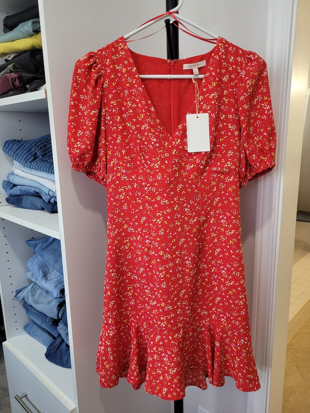 Skies Are Blue Red Floral V-Neck Mini Dress with Puff Sleeves